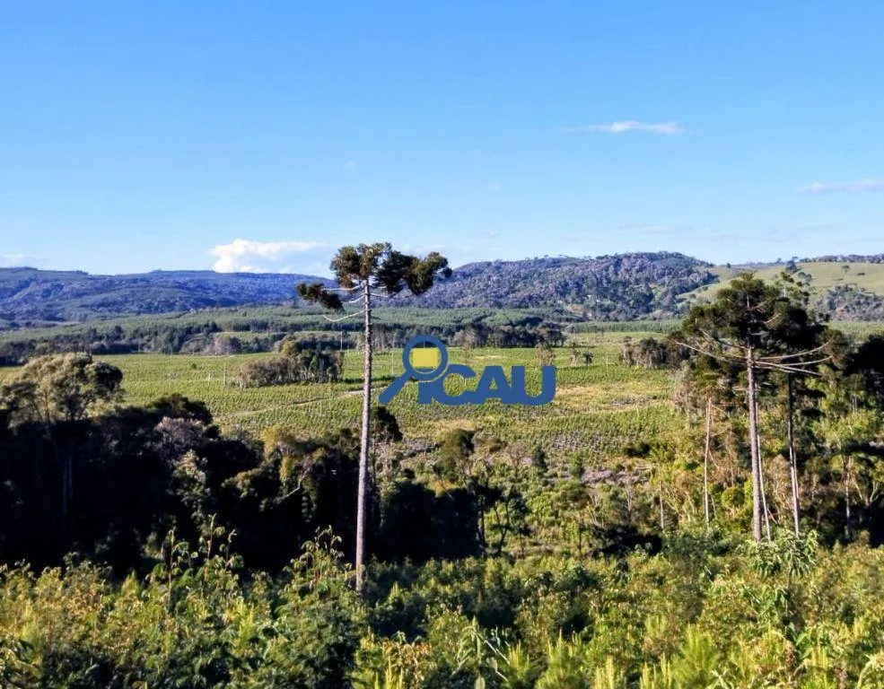 Fazenda Ponte Alta SC com reflorestamento e georeeferenciada — foto 7