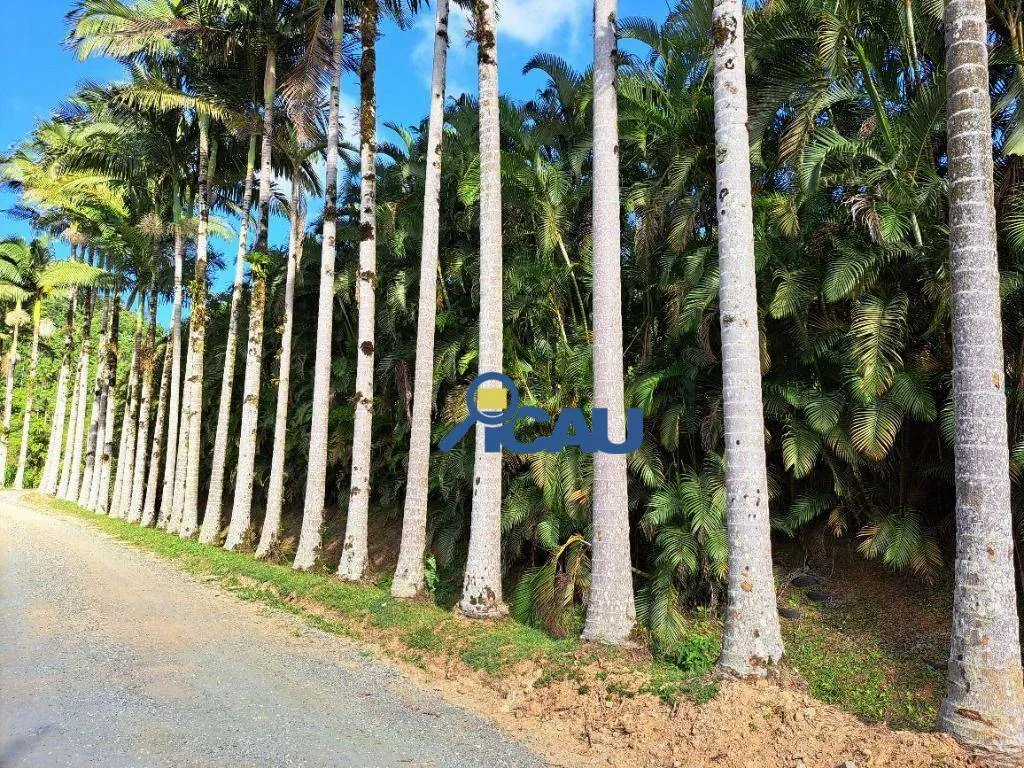 Sítio com 3 dormitórios à venda, 52085 m por R$ 1.295.000,00 - Vila Itoupava - Blumenau/SC — foto 5