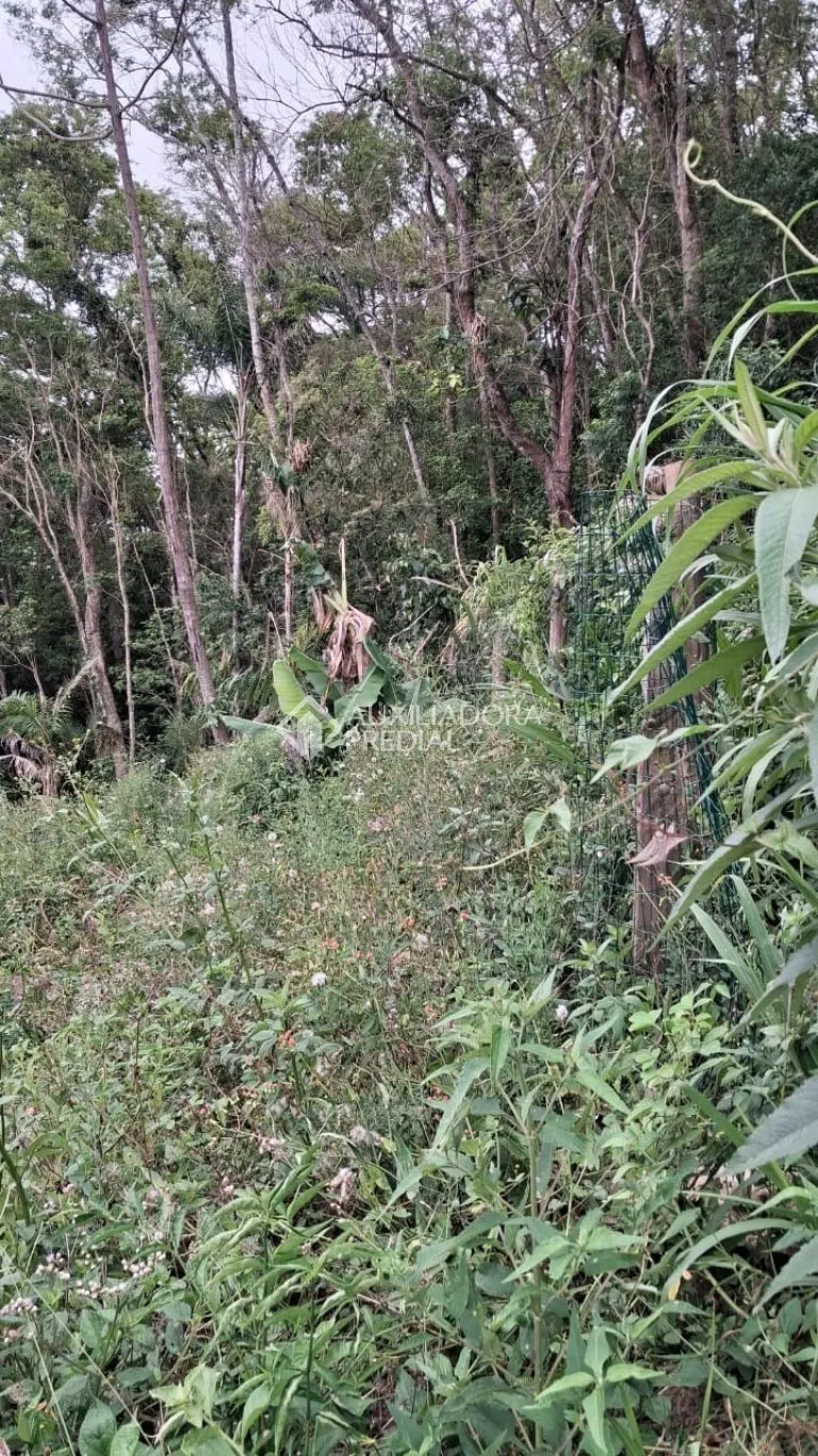 Imóvel — foto 3