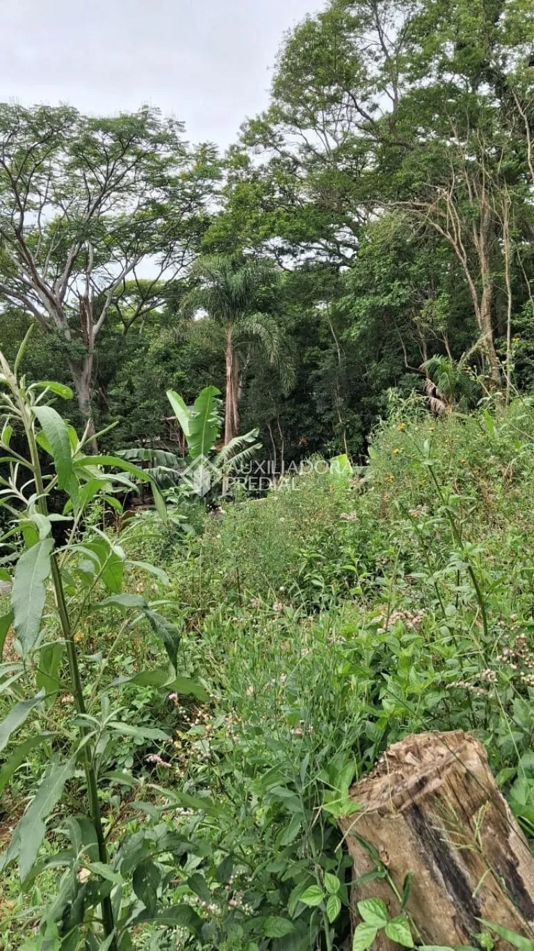Imóvel — foto 4
