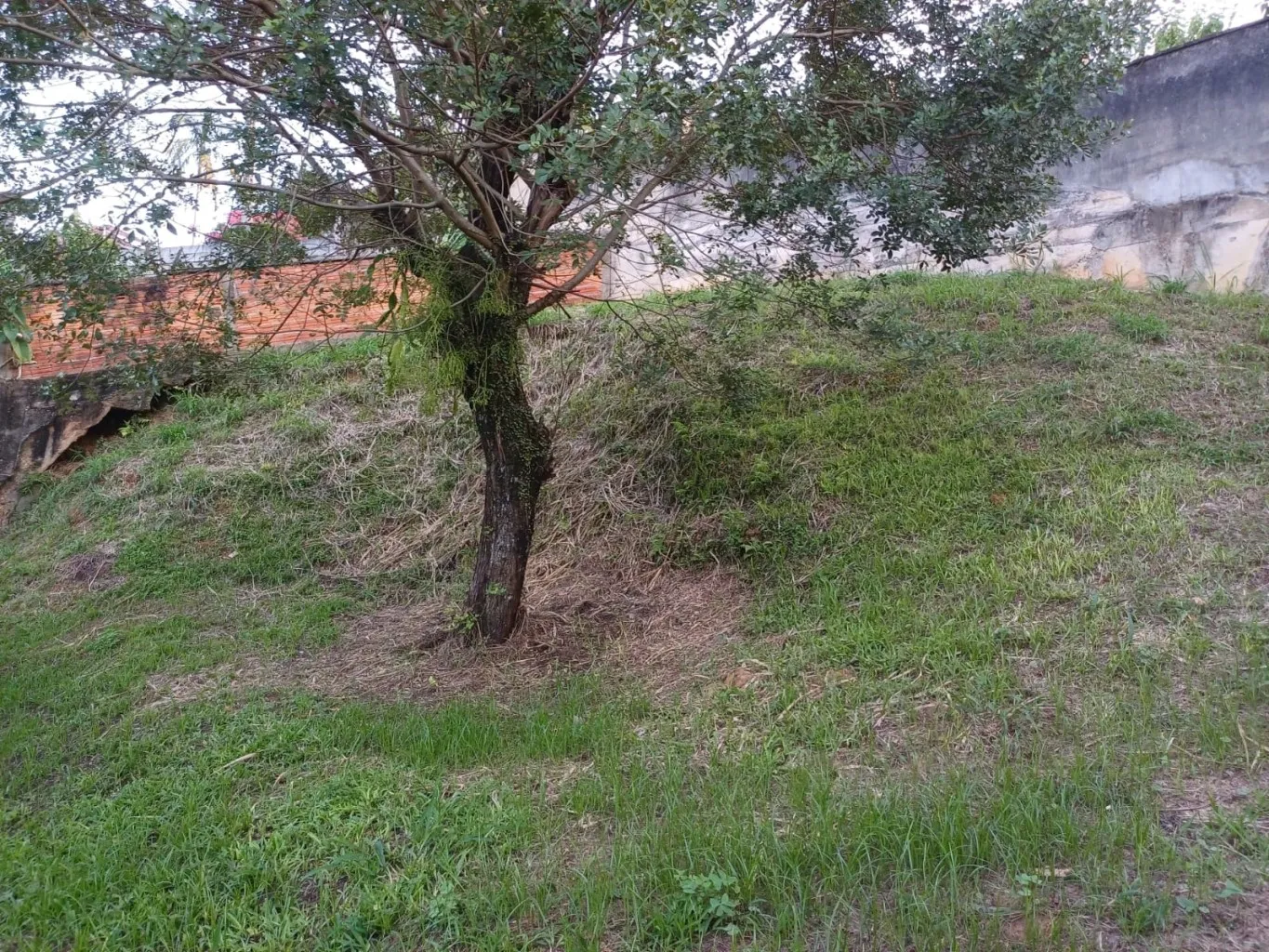 Casa térrea para locação no Loteamento Girassol — foto 7