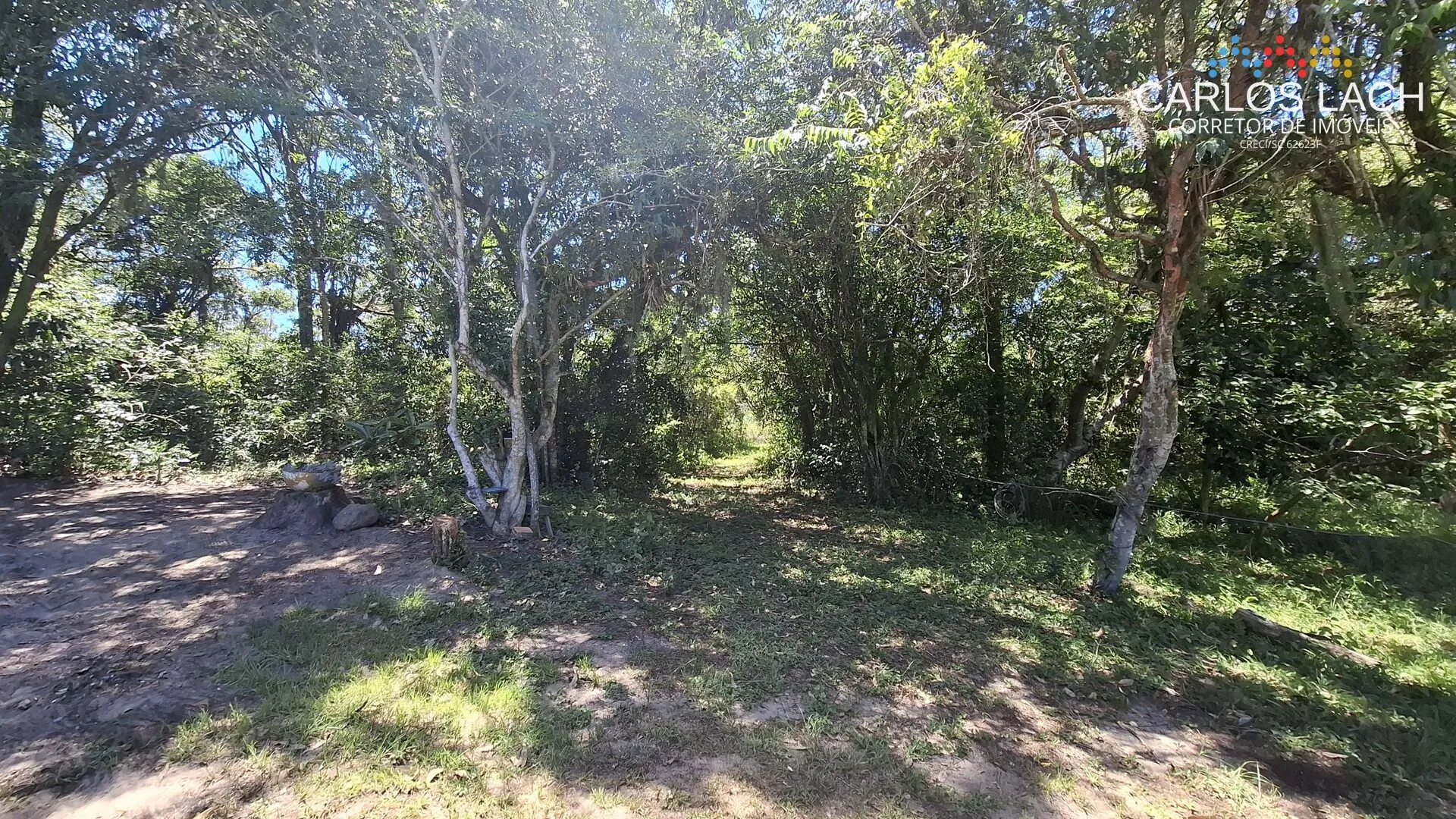 Sítio Escriturado 150.000m — foto 7