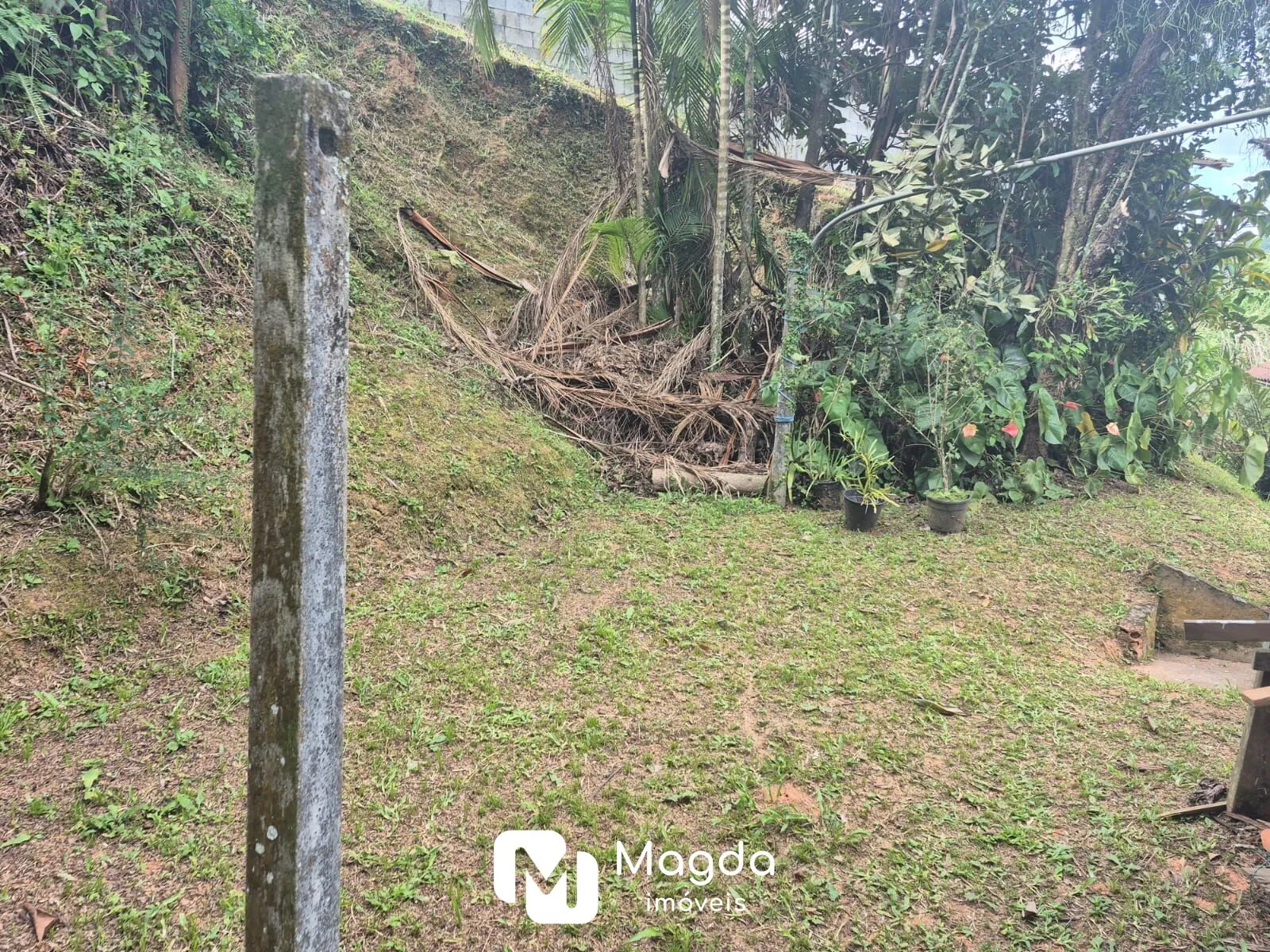 Terreno à venda, 1600 m por R$ 450.000,00 + casa de madeira - Testo Salto - Blumenau/SC — foto 5