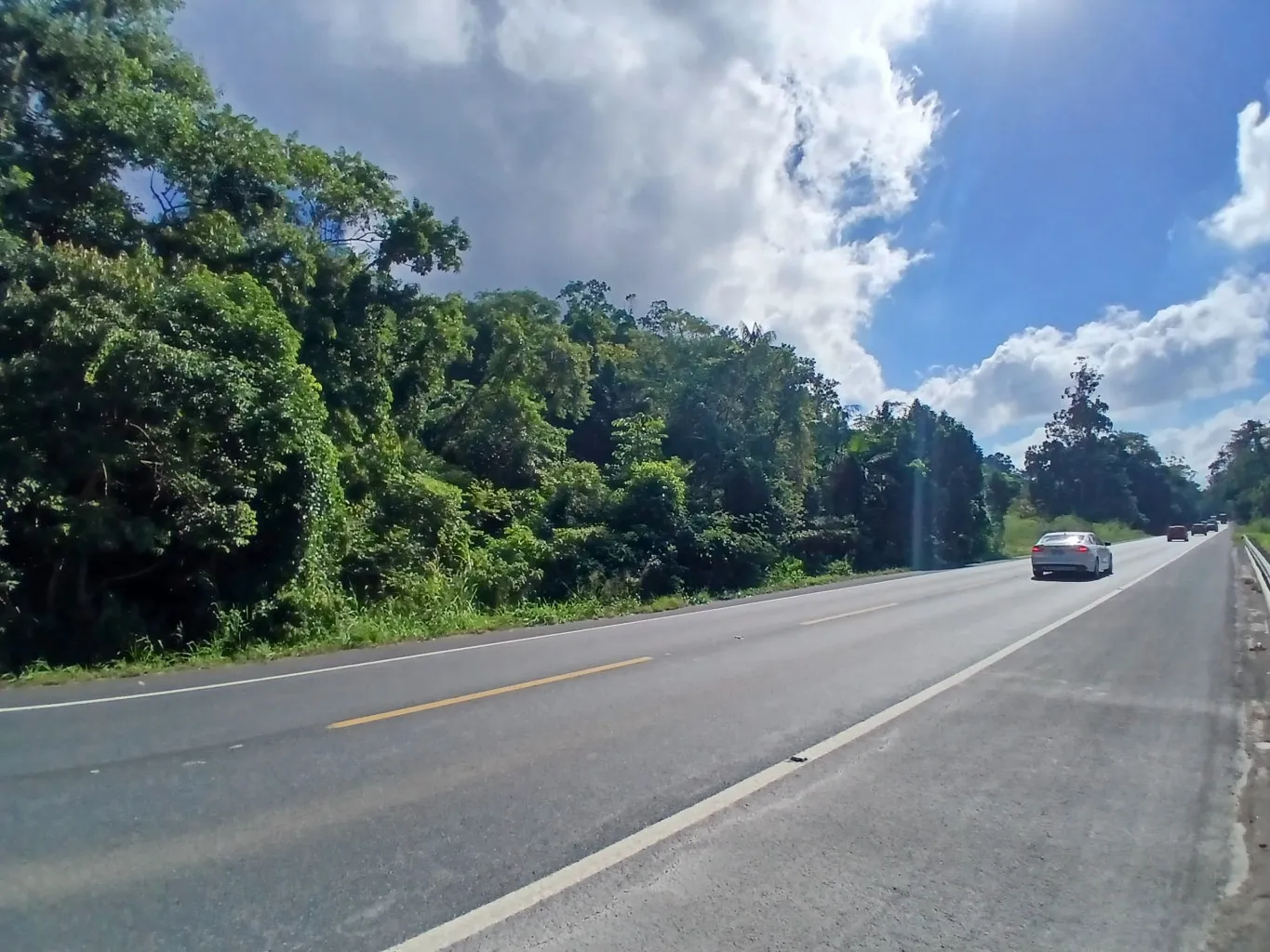 Terreno industrial à venda às margens da BR-470 em Indaial - SC com 48.020m - foto 1