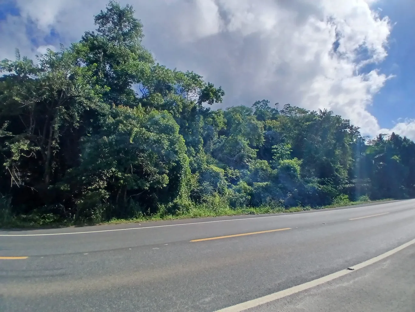 Terreno industrial à venda às margens da BR-470 em Indaial - SC com 48.020m — foto 5