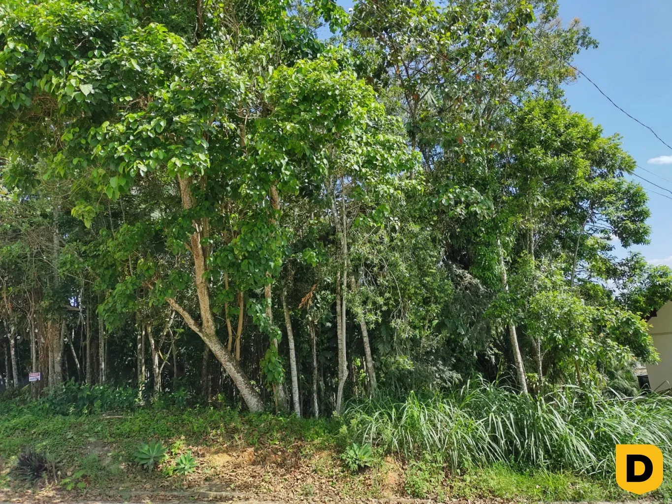 Terreno no Tribess com 495,37 m, estuda permuta! — foto 4