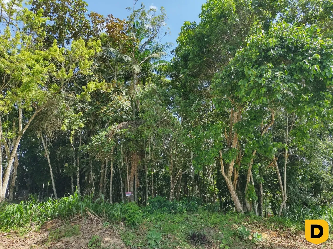 Terreno no Tribess com 757,97 m, estuda permuta! — foto 3