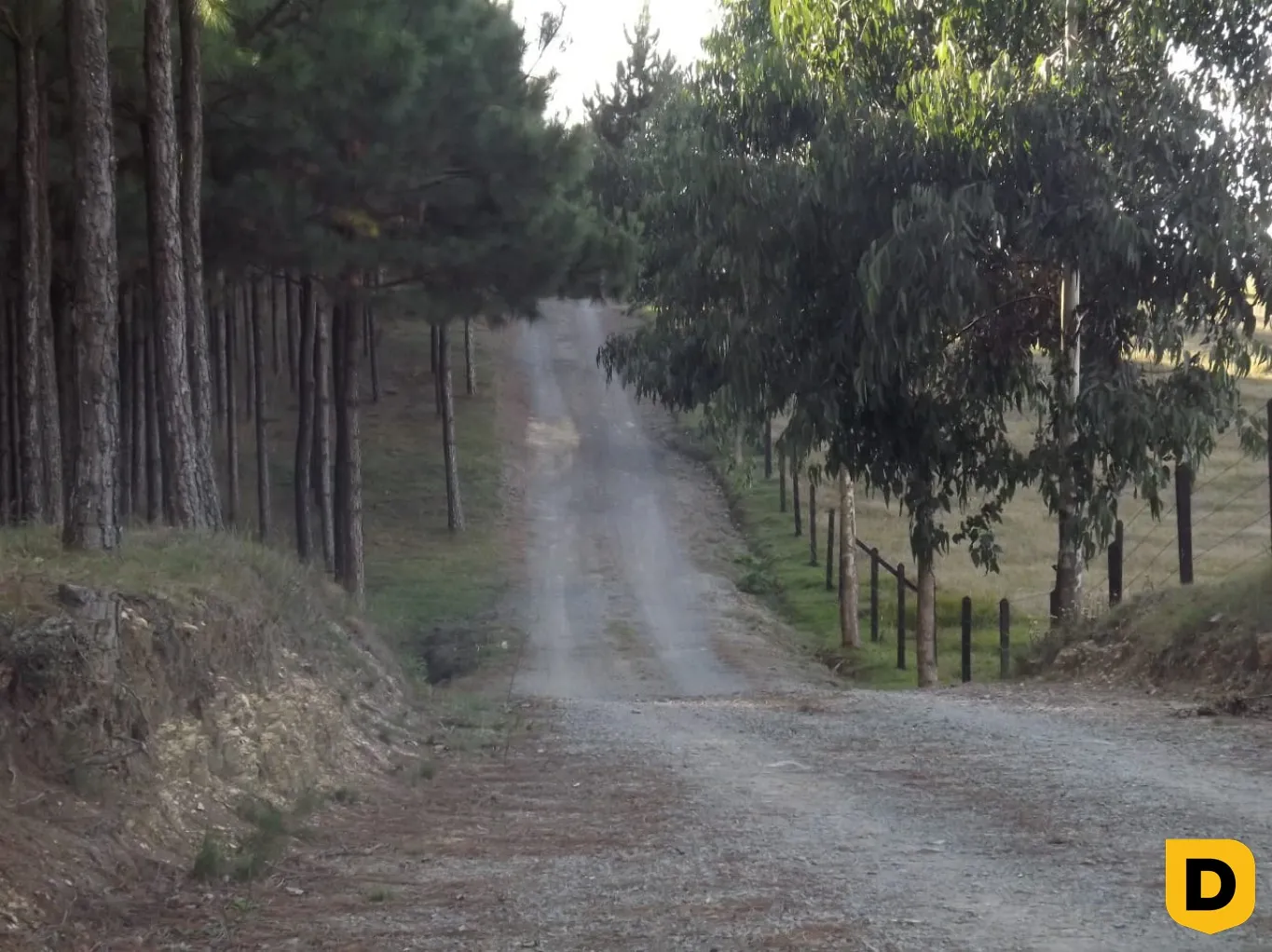 SITIO NA FAZENDA DA CHAPADA - DISTRITO DOS INDIOS - foto 1