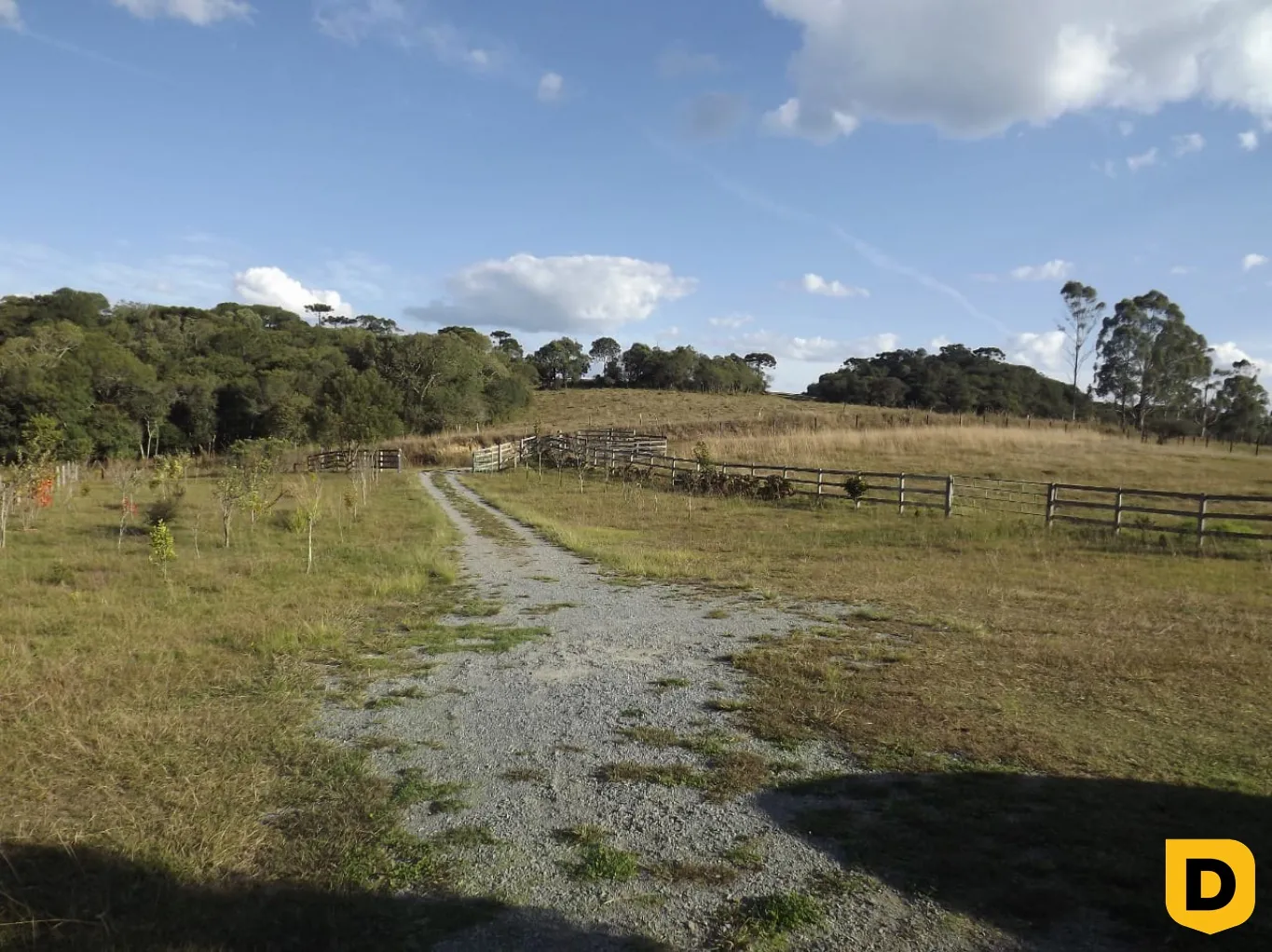 SITIO NA FAZENDA DA CHAPADA - DISTRITO DOS INDIOS — foto 2