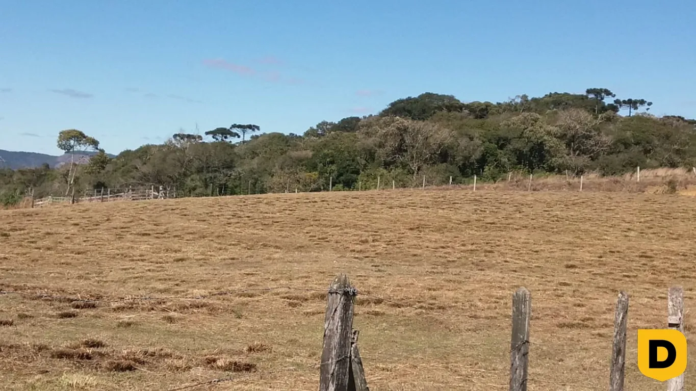 SITIO NA FAZENDA DA CHAPADA - DISTRITO DOS INDIOS — foto 4