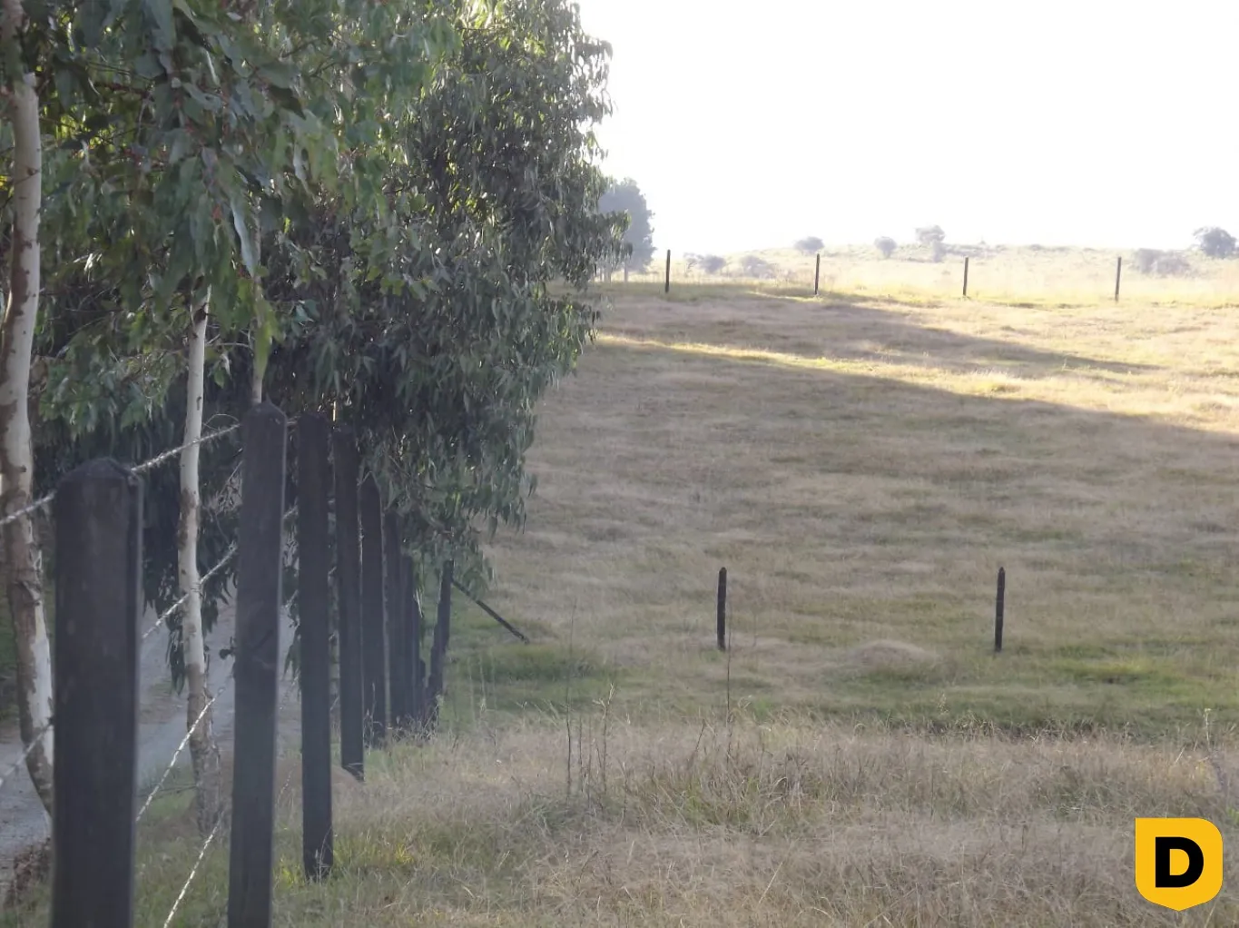 SITIO NA FAZENDA DA CHAPADA - DISTRITO DOS INDIOS — foto 5