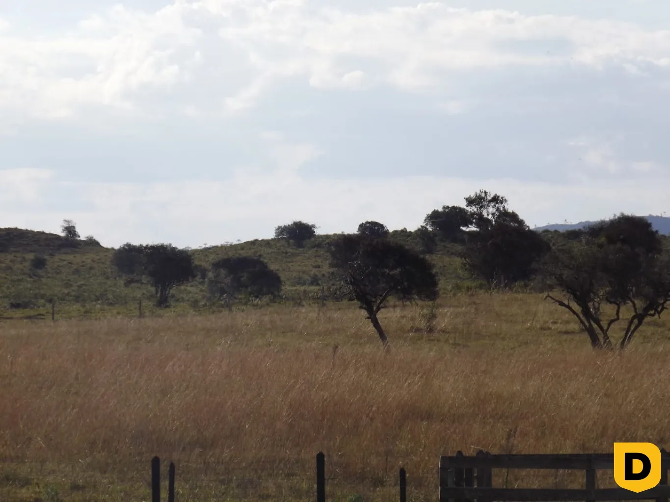 SITIO NA FAZENDA DA CHAPADA - DISTRITO DOS INDIOS — foto 6