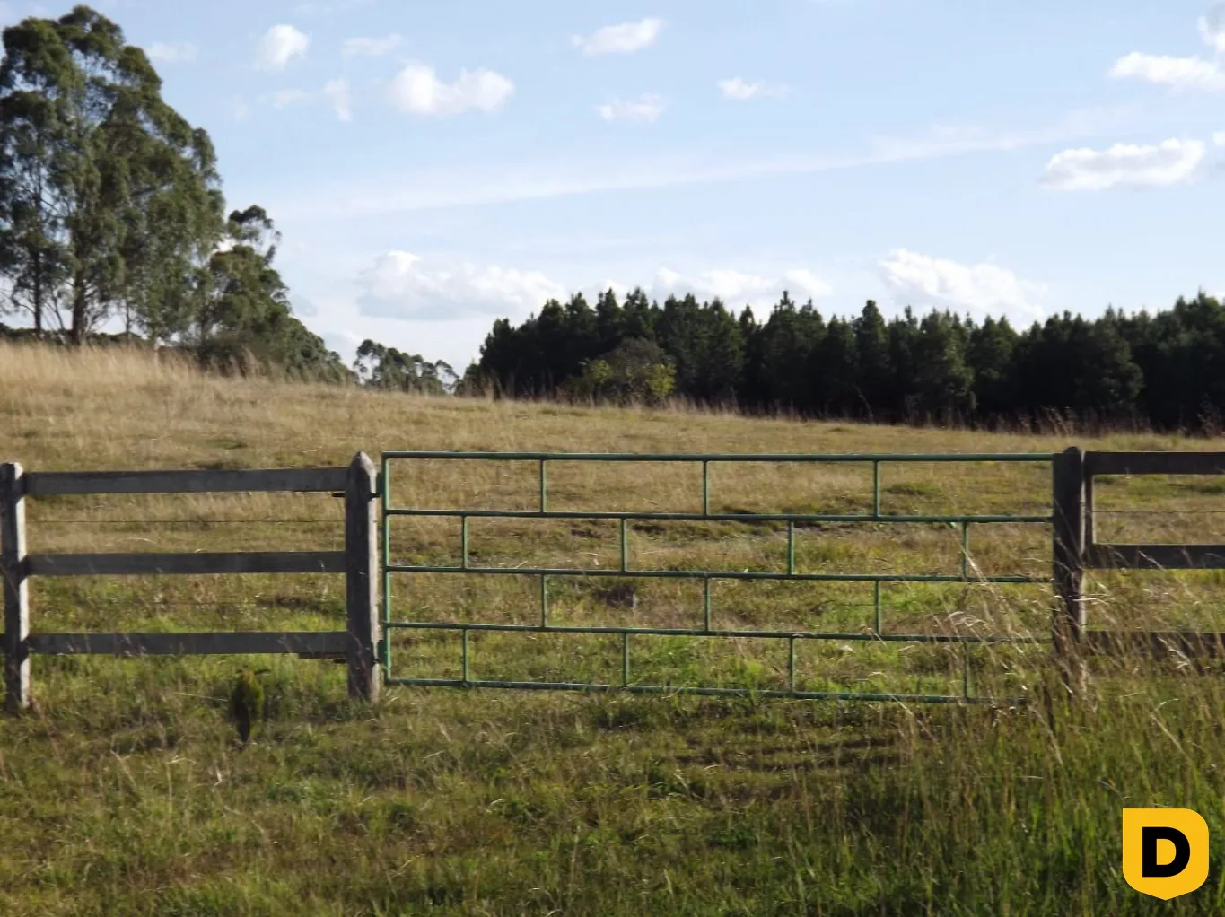 SITIO NA FAZENDA DA CHAPADA - DISTRITO DOS INDIOS — foto 7