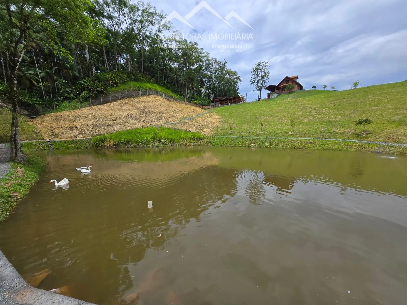 SÍTIO - Pomerode Fundos, Pomerode SC — foto 4