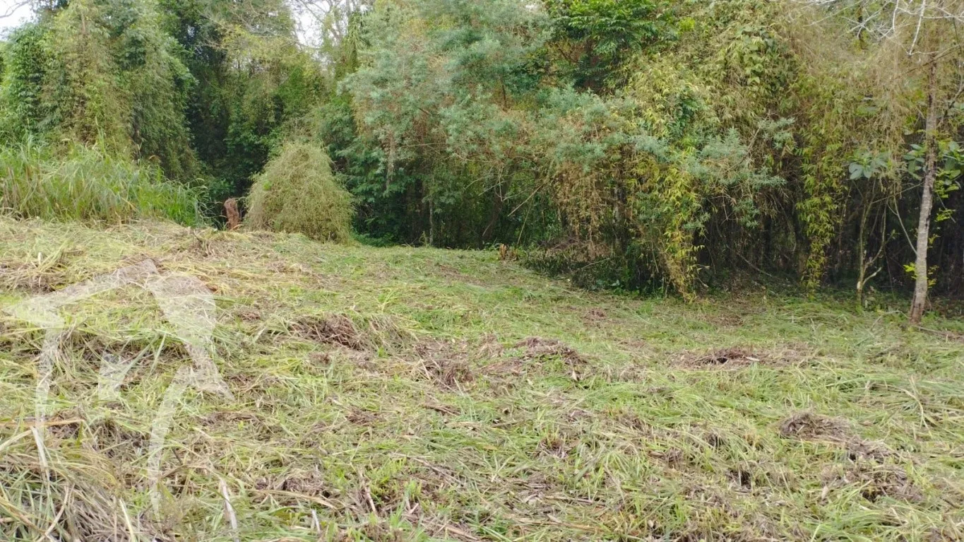 Terreno com 715,18 m bem amplo com uma testada de 15 em Blumenau. - foto 1