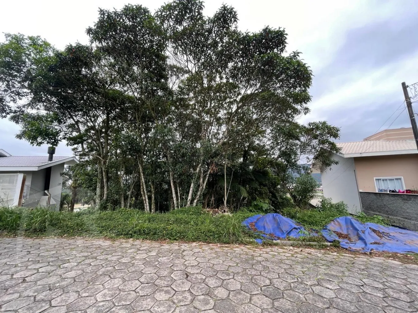 Terreno com 996,25m de área total, Localizado na rua Maravilha com ótimo padrão de casas. - foto 1