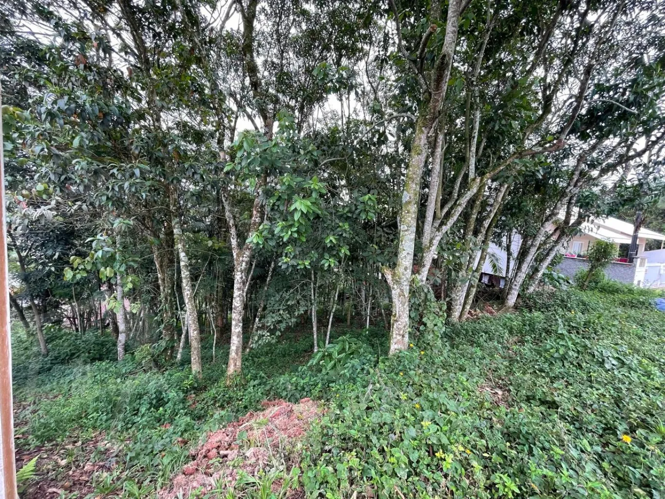 Terreno com 996,25m de área total, Localizado na rua Maravilha com ótimo padrão de casas. — foto 5