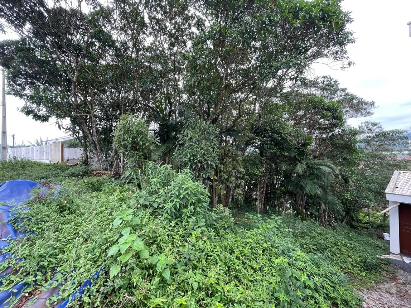Terreno com 996,25m de área total, Localizado na rua Maravilha com ótimo padrão de casas. — foto 6