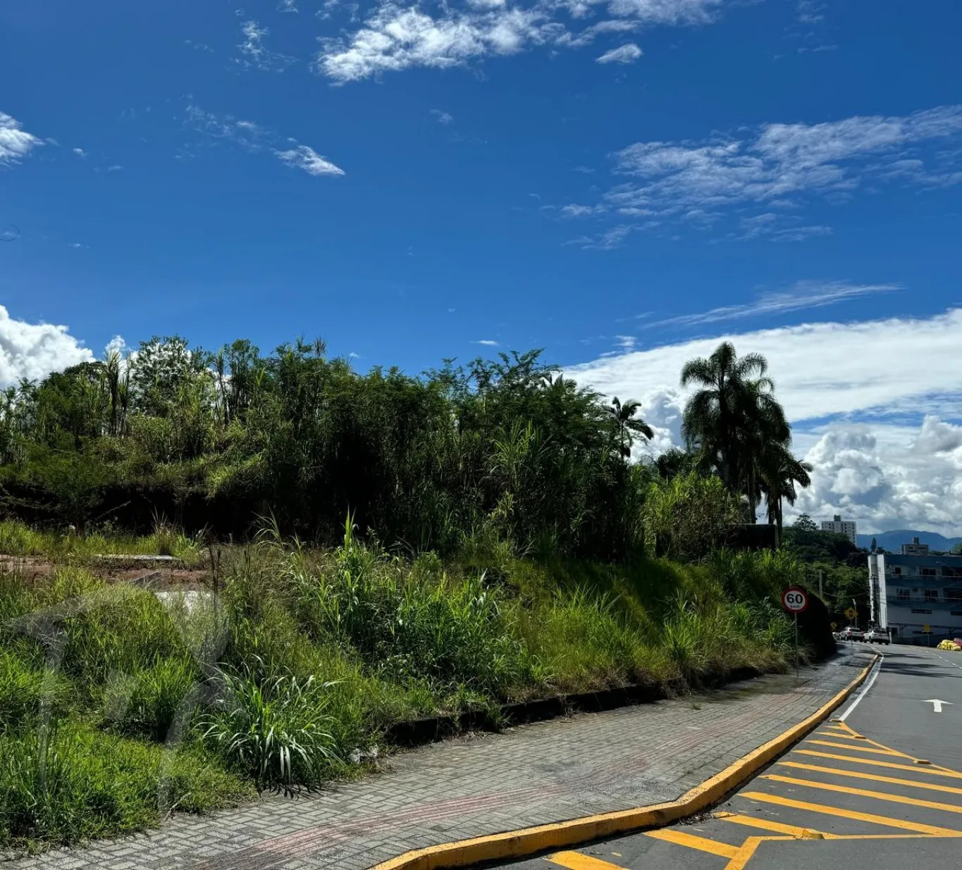 Terreno Residencial e Comercial com 2.088,00m para empreendimentos — foto 4