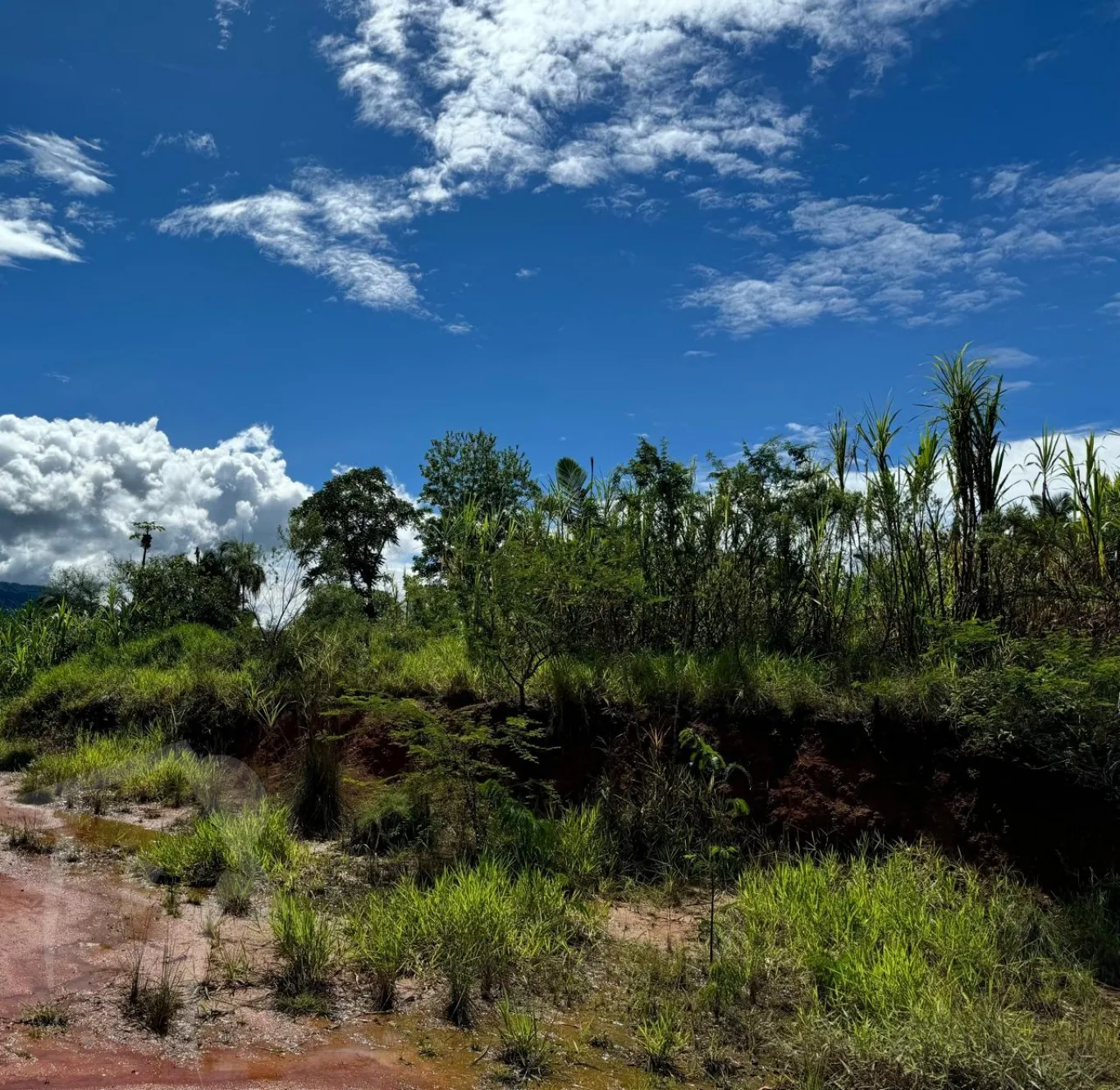 Terreno Residencial e Comercial com 2.088,00m para empreendimentos — foto 6