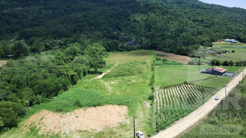 Terreno com 76,75 metros de frente para BR-470 — foto 2