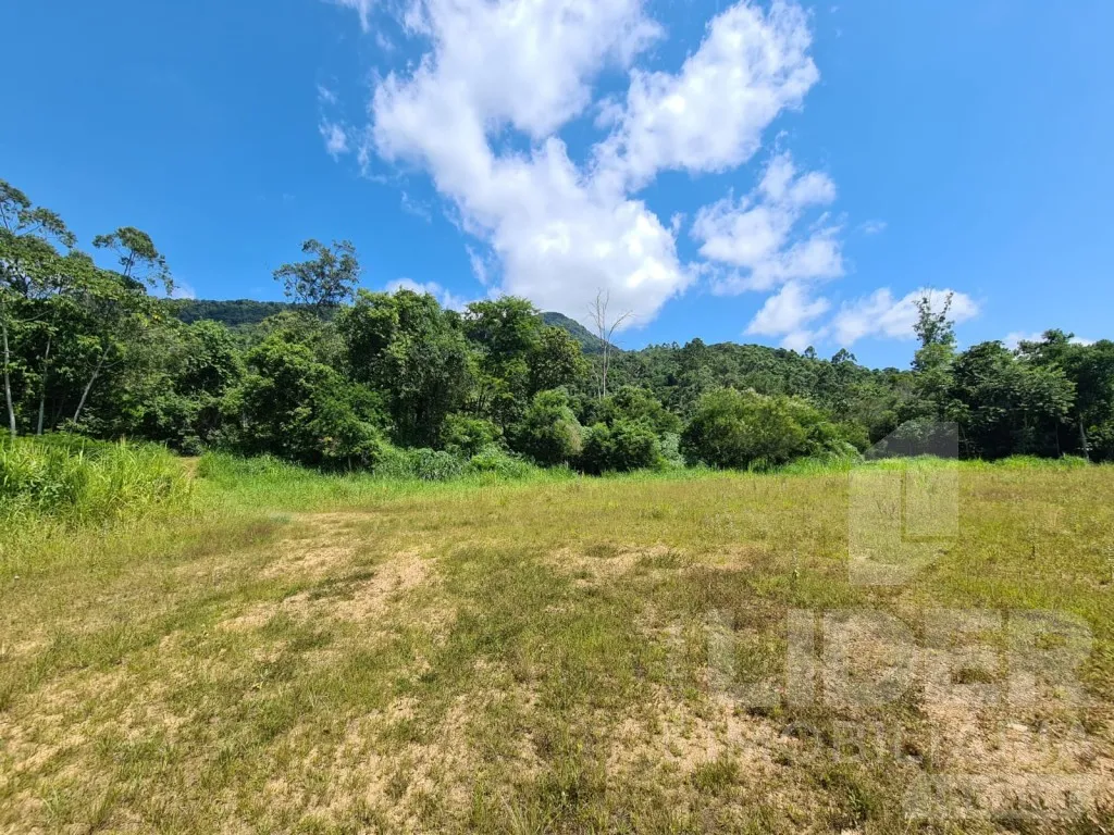 Terreno com 76,75 metros de frente para BR-470 — foto 5