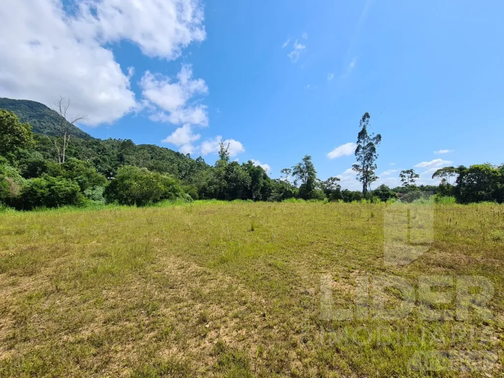 Terreno com 76,75 metros de frente para BR-470 — foto 6