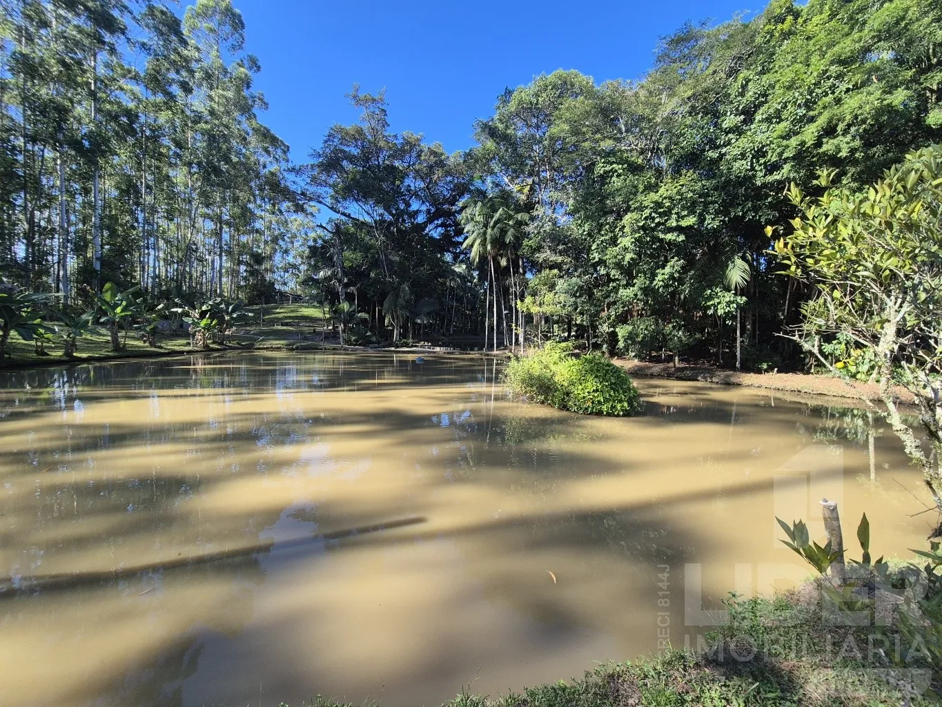 Sitio em Apiúna com 105.930m — foto 3
