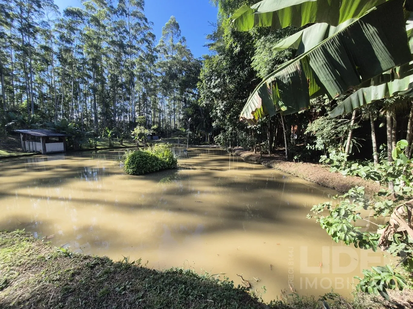 Sitio em Apiúna com 105.930m — foto 5