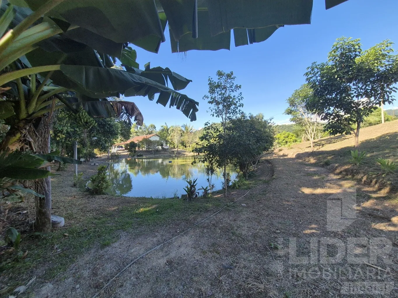 Sitio em Apiúna com 105.930m — foto 6