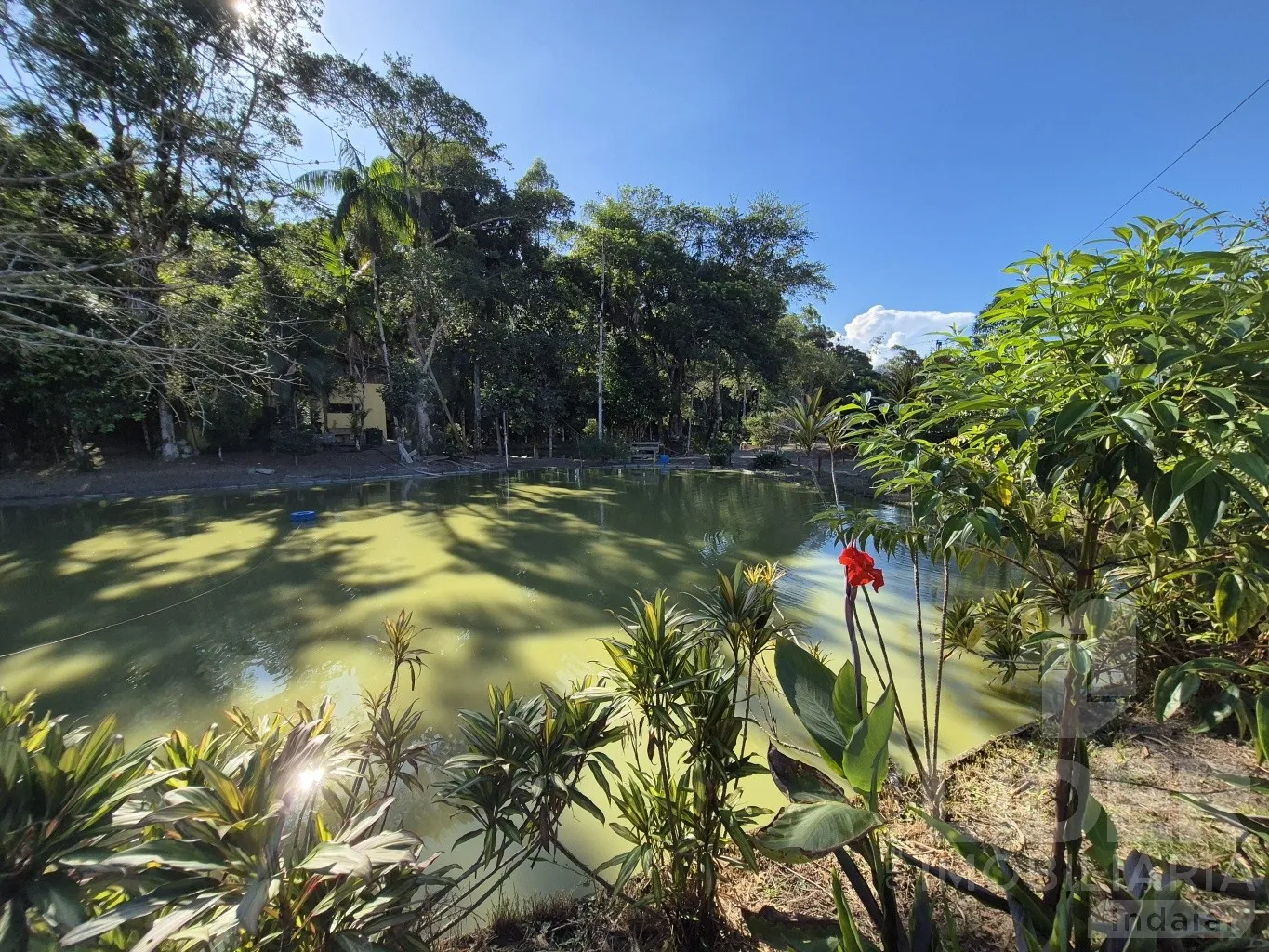 Sitio em Apiúna com 105.930m — foto 7