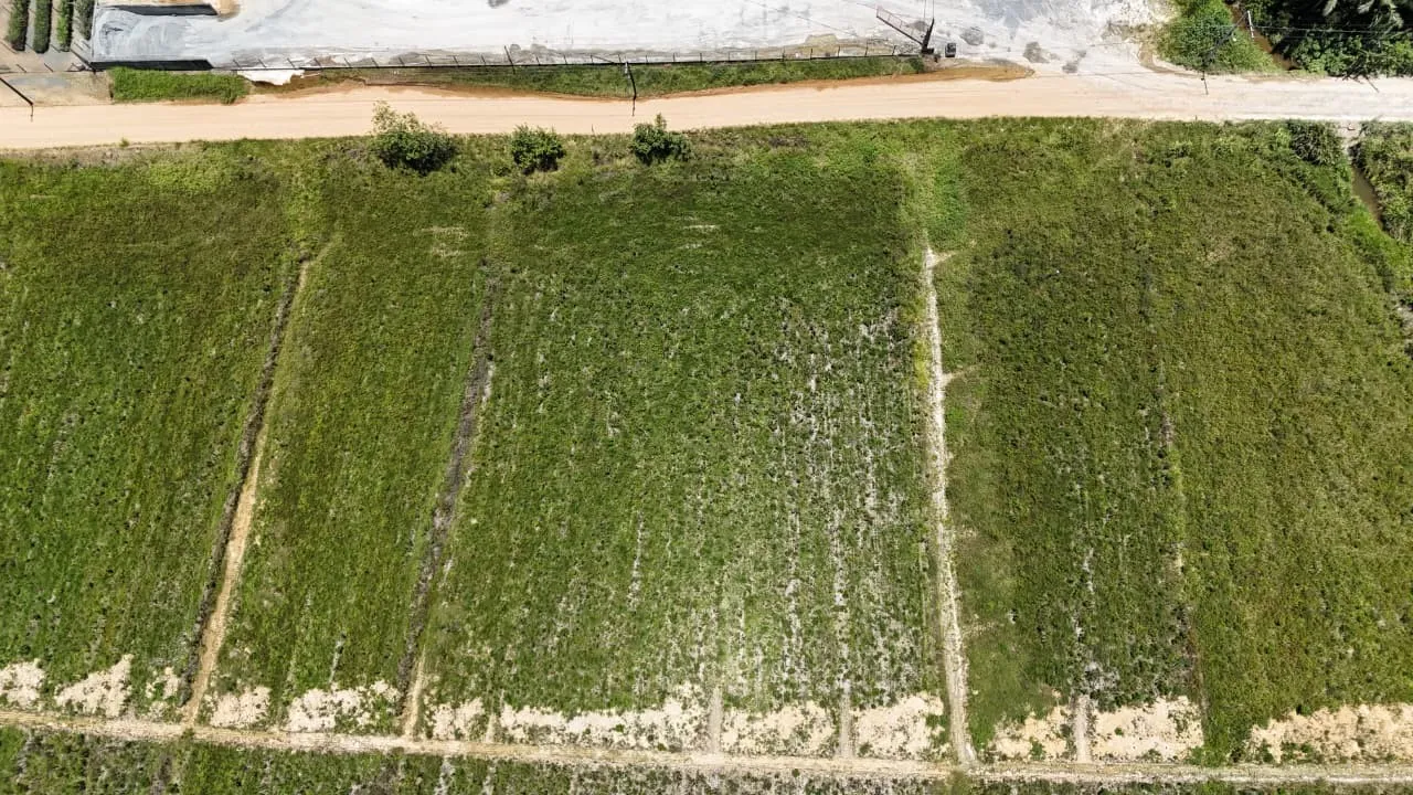 Terreno no bairro Estradinha com 1.158,22m — foto 4