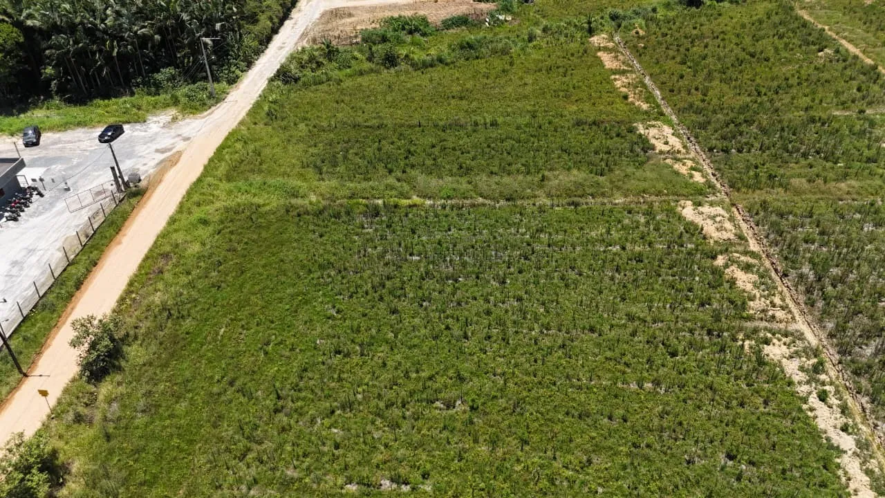 Terreno no bairro Estradinha com 1.158,22m — foto 6