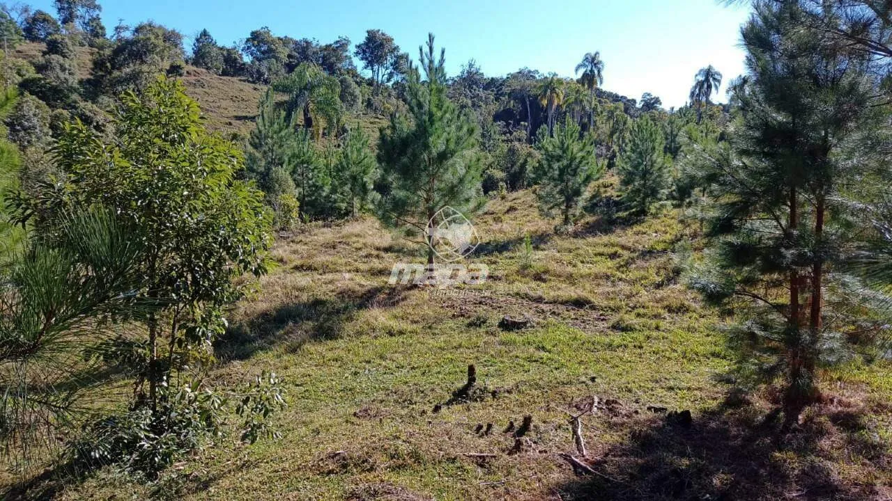 20 mil m às Margens da SC-477 — foto 3