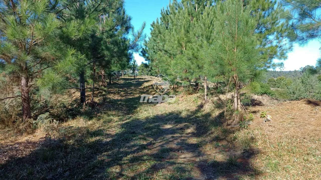 20 mil m às Margens da SC-477 — foto 7