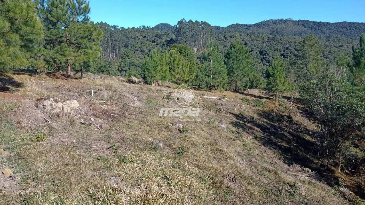 Terreno Rural à venda, Centro - Doutor Pedrinho/SC — foto 3