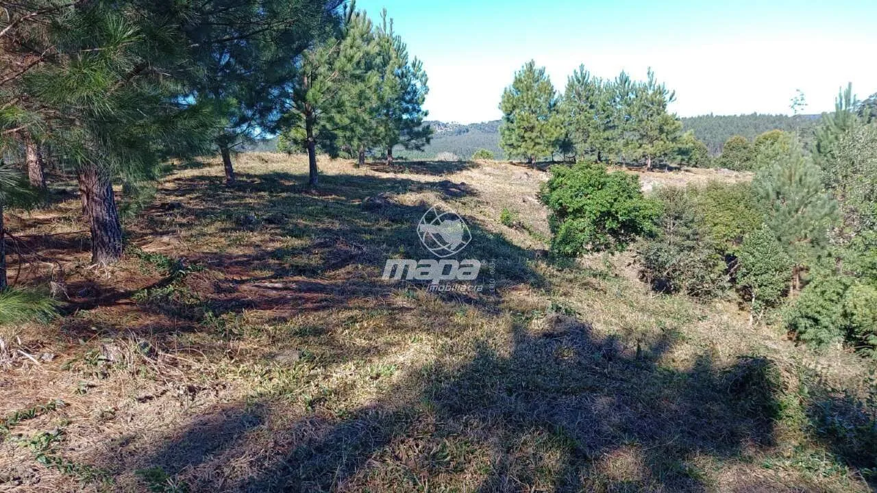 Terreno Rural à venda, Centro - Doutor Pedrinho/SC — foto 5