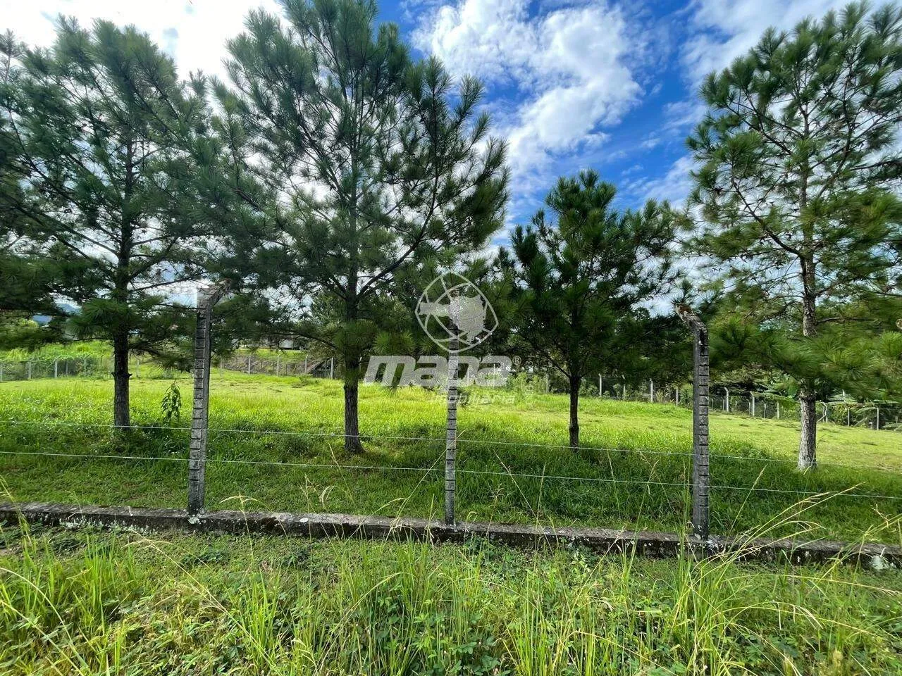 Amplo terreno - foto 1