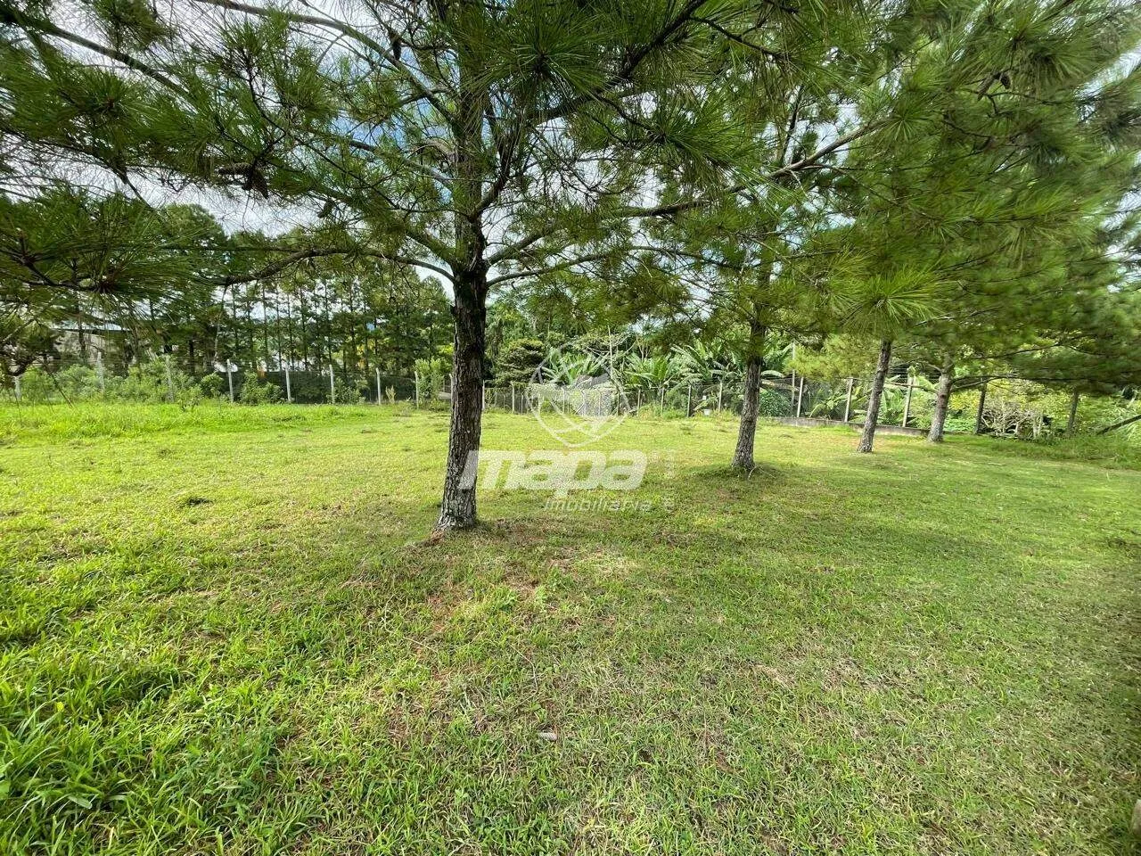 Amplo terreno — foto 2