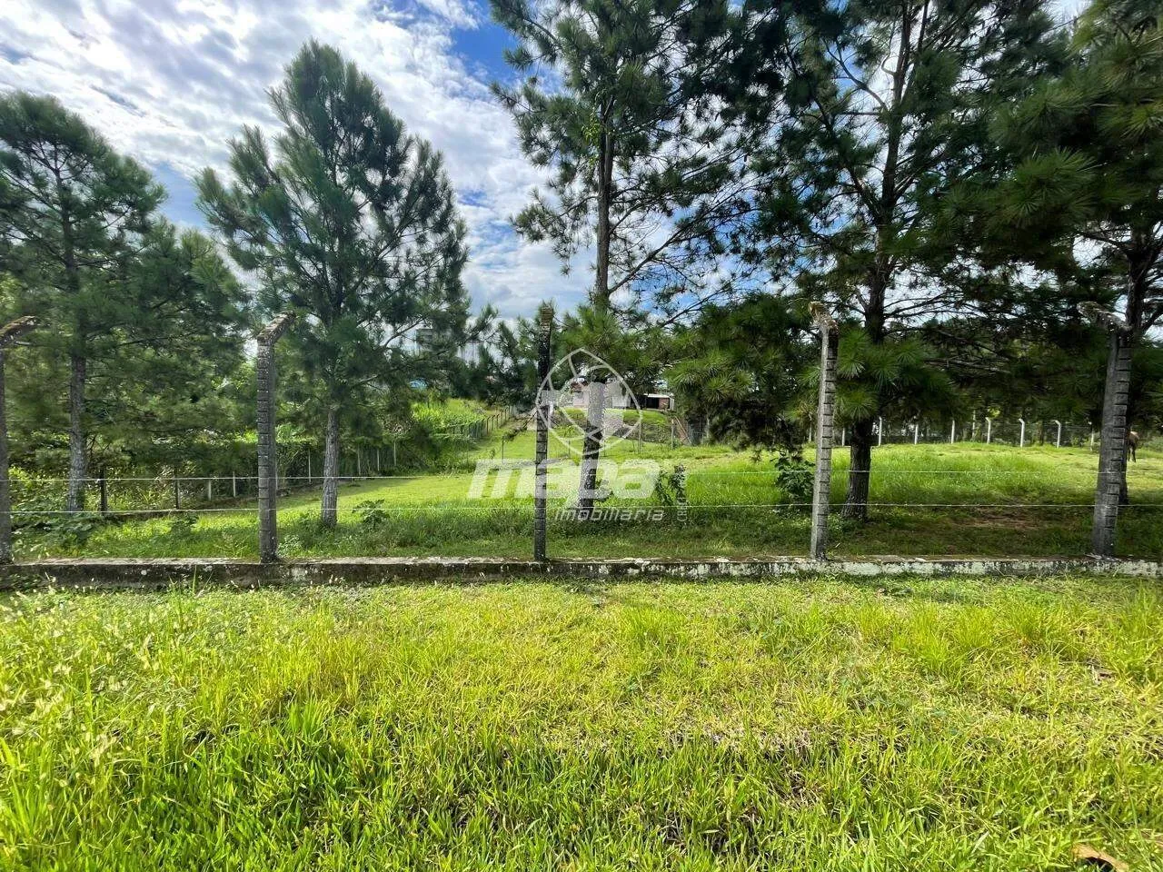 Amplo terreno - foto 1