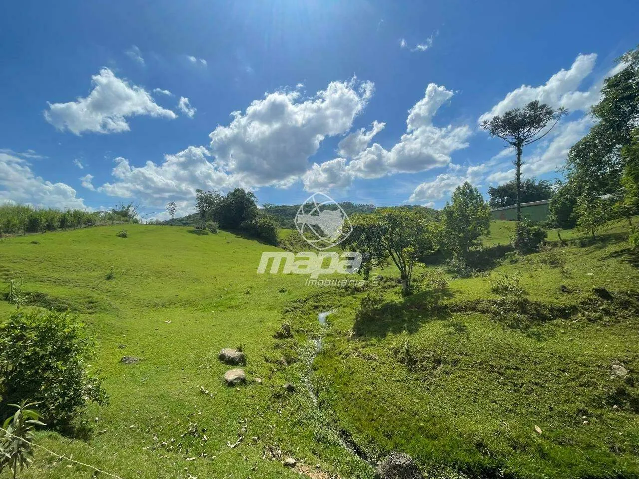 Terreno Urbano à venda, Mulde - Indaial/SC — foto 7