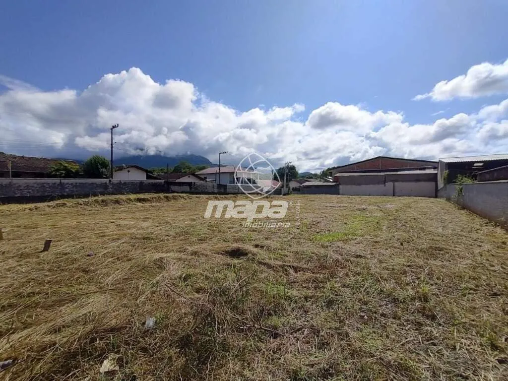 TERRENO ESQUINA COMERCIAL INDAIAL — foto 3