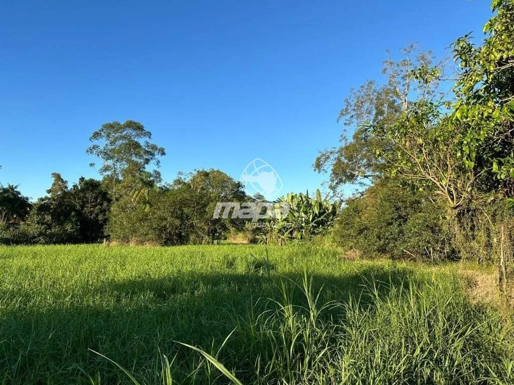 Terreno Urbano à venda, Capitais - Timbó/SC — foto 5