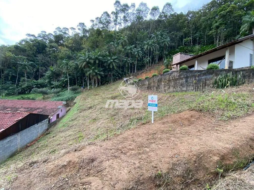 Terreno Urbano à venda, Centro - Benedito Novo /SC - foto 1