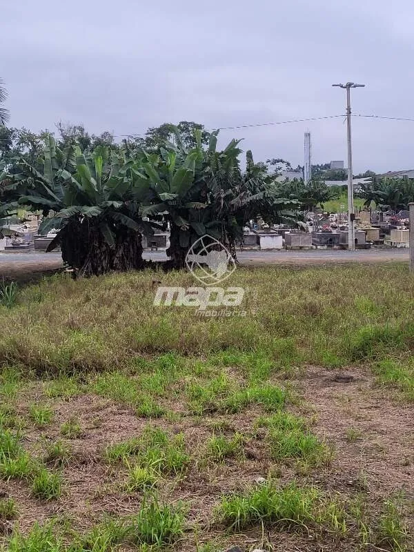 Amplo terreno próximo Magazine Luiza — foto 4