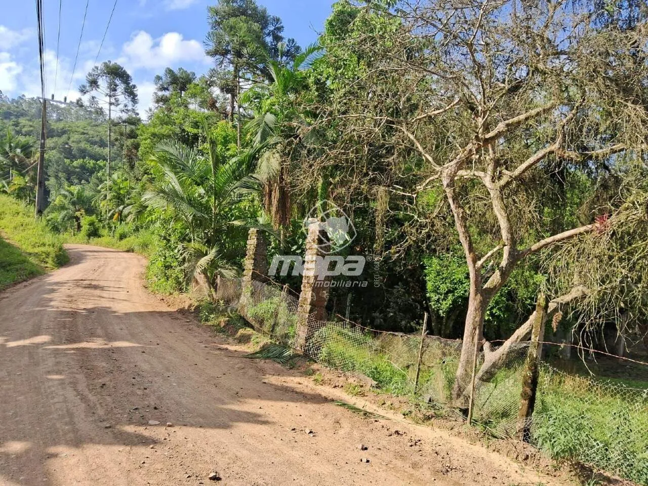 Terreno à Venda - foto 1