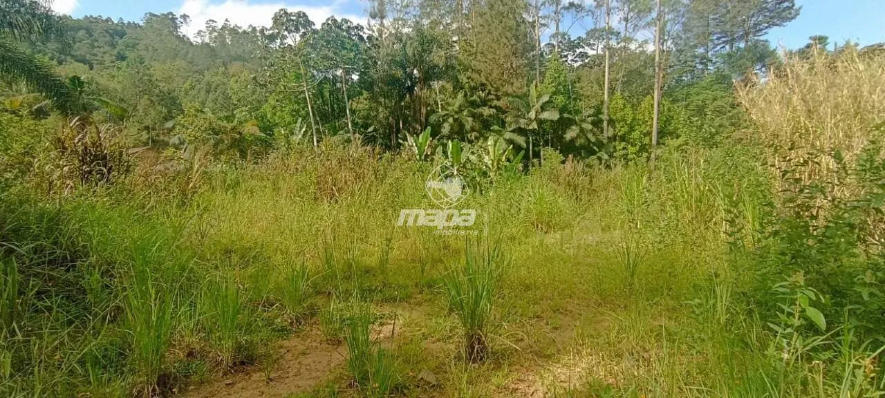 Terreno à Venda — foto 3