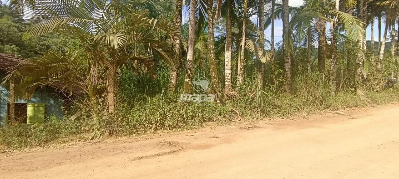 Terreno à Venda — foto 4