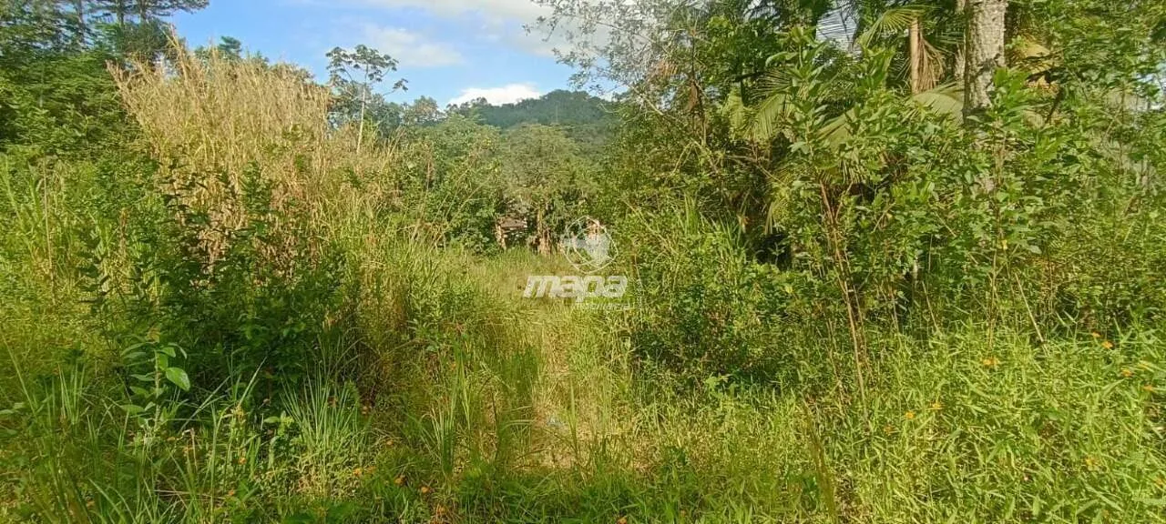 Terreno à Venda — foto 5