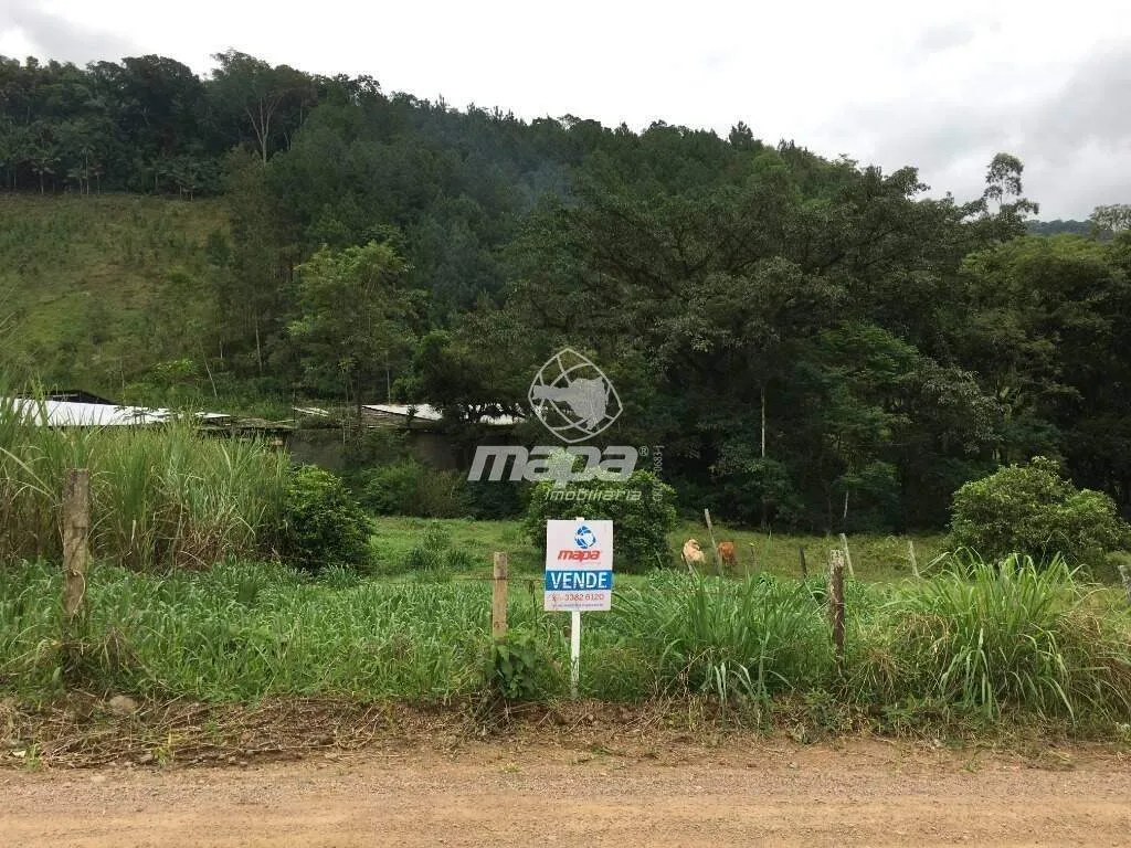 Terreno Rural à venda, Alto Benedito - Benedito Novo /SC - foto 1